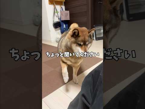 🐕お母さん⁉️の悩み… サムネイル