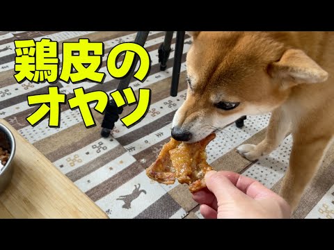 【柴犬小夏】　サクサク鶏皮のオヤツ作ったよってに　ASMR サムネイル