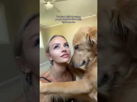 coming home to my golden retriever❤️india retreiver dog pup… サムネイル