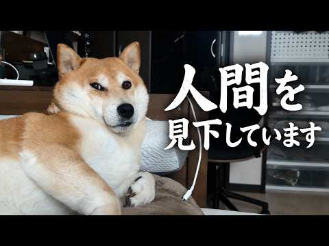 その顔、絶対になんか思ってるだろ・・・。
