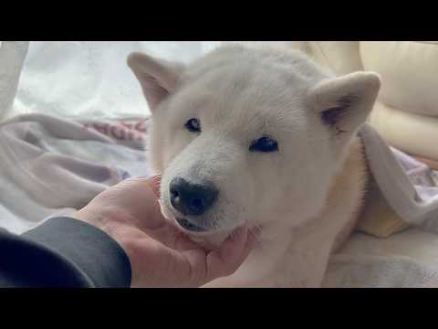 我が子の今だけしかない大切な時間を形に残してきました。 サムネイル