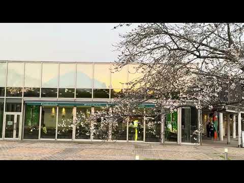 富士山🗻がガラスに‥   足柄SA上り線にて　2026年4月5日