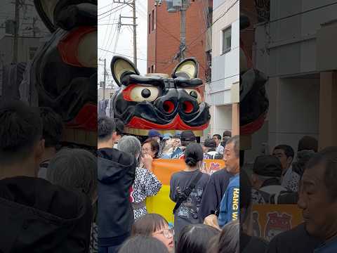 shorts 酒田大獅子山王　獅子パックン　酒田まつり サムネイル