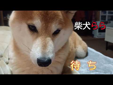 待ち サムネイル