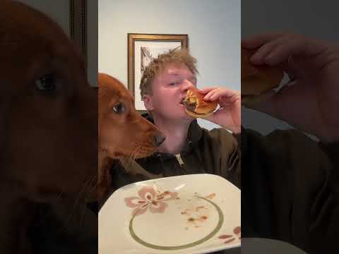 What should Clifford try next? サムネイル