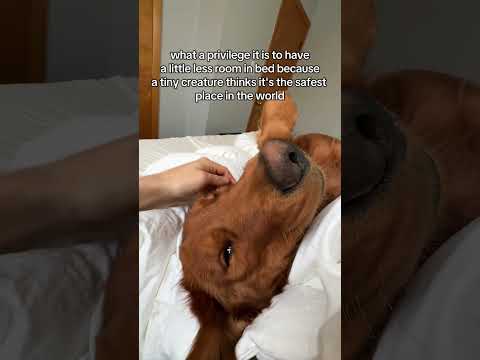 This my Babyy 🥹 サムネイル