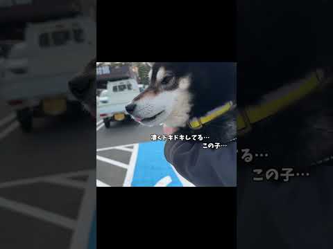 嫌な予感がする サムネイル