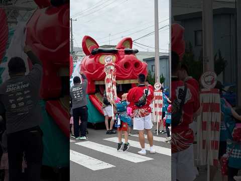 short 大獅子　日和の獅子パックン　酒田まつり　2026年5月20日 サムネイル