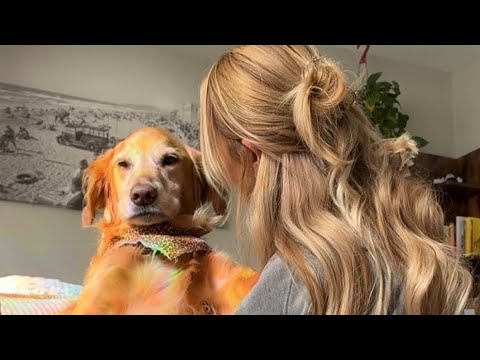 lightweight bikinis, and elegant sheer dresses that reflect… サムネイル