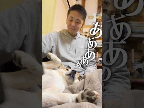 ツラいのか気持ちいいのか微妙なところの柴犬 サムネイル