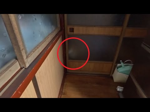 ゴハン食べ終わると報酬をもらいに詰め寄せる圧力団体 サムネイル