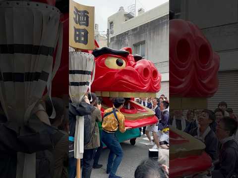 shorts 酒田大獅子日和　獅子パックン　酒田まつり サムネイル