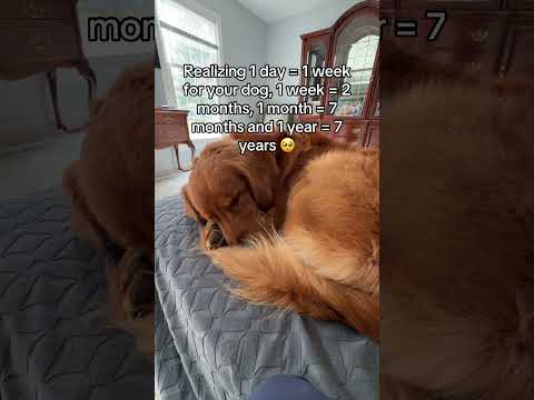 This sucks 🥺 サムネイル