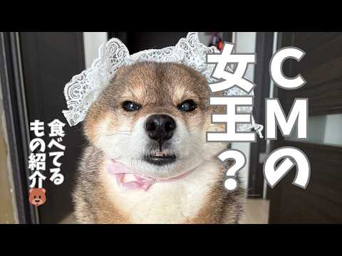 柴犬花さん12歳が食べているもの サムネイル