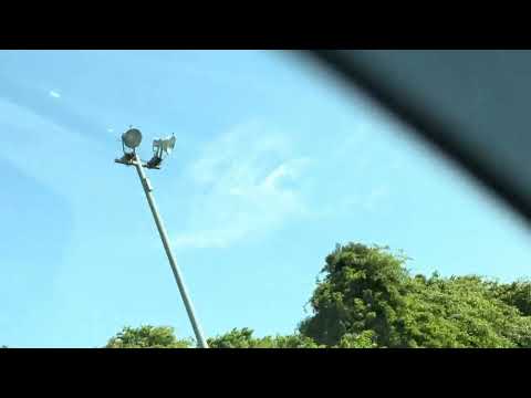鳳凰みたい‥  今朝雲☁️  東関道にて(助手席から)  2026年4月28日 サムネイル