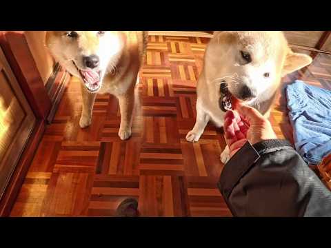 2026年4月10日(金) 超濃縮おいもください！🍠🍠 サムネイル