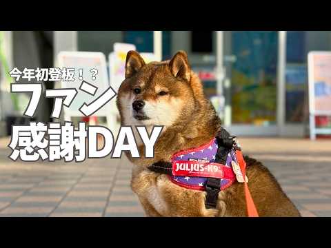 フォロワーさんとお会いしてきました🐕👨 サムネイル