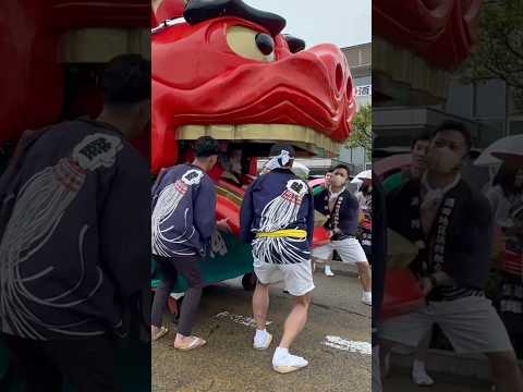 shorts 獅子パックン　桜🌸　酒田大獅子　酒田まつり サムネイル