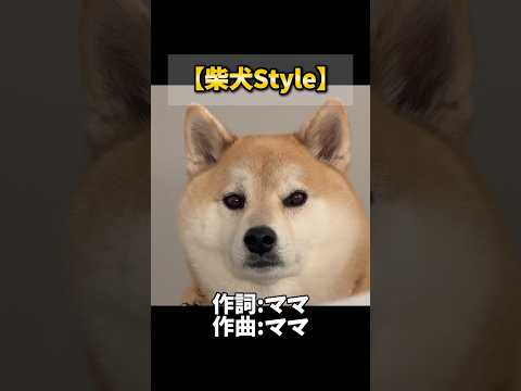 【柴犬の気持ちが分かる歌】柴犬あるある…柴犬 shibainu shortsindia サムネイル