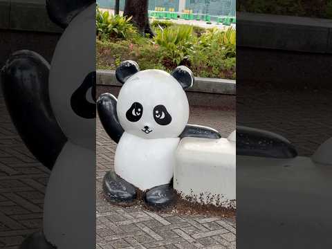 shorts パンダベンチ(動物園は台風の影響で臨時休園)   上野公園にて　2026年6月3日 サムネイル