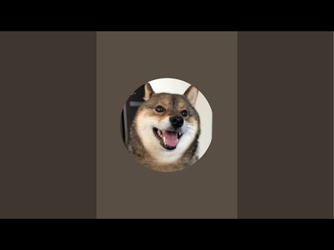 5月31日朝の散歩LIVE サムネイル