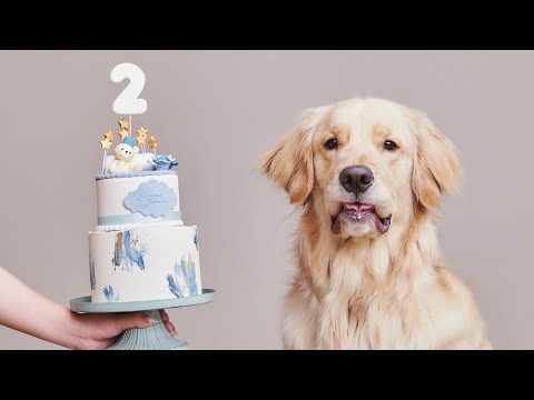 うちの犬系彼氏がモデル犬すぎる件 サムネイル