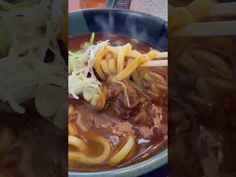 shorts ホント美味しい😋和牛カレーうどん　バーベキューガーデン　那須どうぶつ王国にて　2026年1月12日 サムネイル