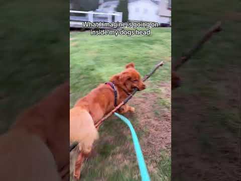 I can’t unhear this 😂 サムネイル