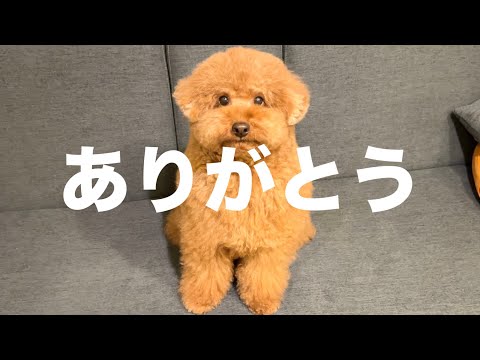 まさかのことが起きました。 サムネイル