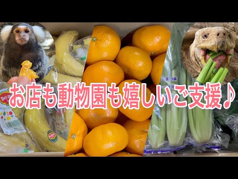 動物達にエサのご支援！！今回はお世話になっているお店にも嬉しいご支援です♪よっちゃんにもプレゼントが♪ サムネイル