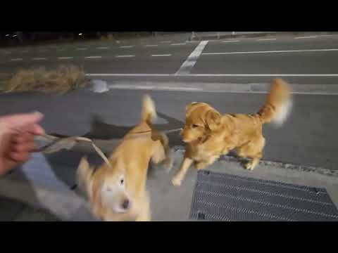 愛媛県温東市のインターネットカフェ快活CLUBで夜間外出 サムネイル