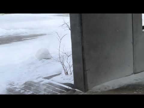 ピュ〜ピュ〜〜と　那須どうぶつ王国にて　2026年1月30日 サムネイル