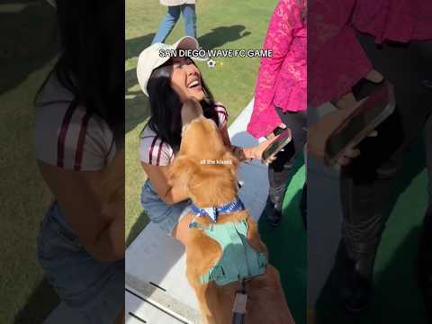 Transparent Lingerie & See-through Styles Shein 2025 Bikini… サムネイル