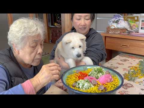 【国際女性デー】日頃の感謝をこめてプレゼントしたミモザで愛犬と花手水を作りました。 サムネイル