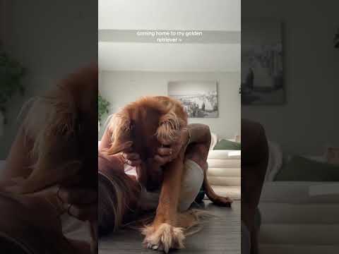 4k Transparent Micro Bikini Try-On Haul | See-Though Linger… サムネイル