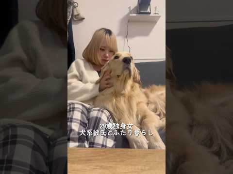 ふたりでグータラしながらお正月を過ごしてます🥰今年もいっぱい麹とグータラできますように☀️ゴールデンレトリバー gol… サムネイル