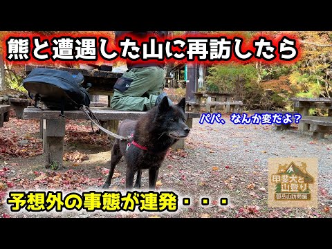 熊に遭遇した山に甲斐犬と再訪したら予想外の出来事が多発・・・【御岳山訪問編　第１話】 サムネイル