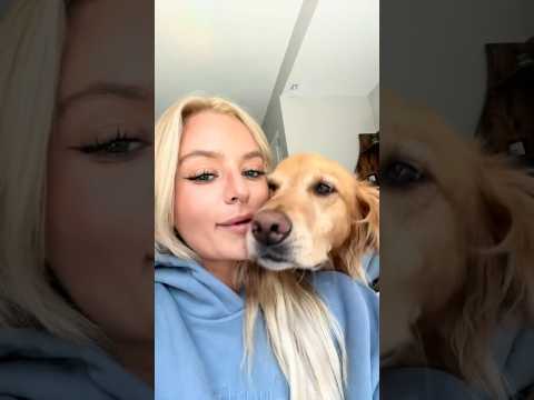 dog-tor coby to rescue🛟goldenpup puppy goldenpupppy dogbree… サムネイル