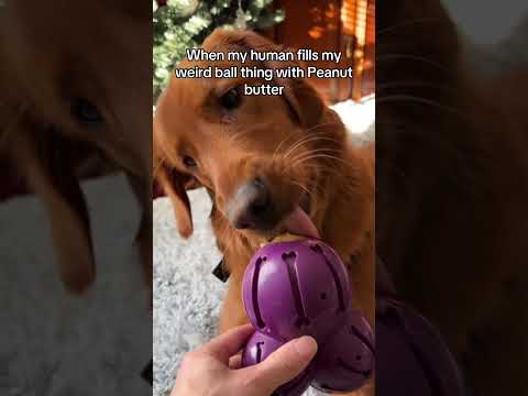 Nothing better than this! サムネイル