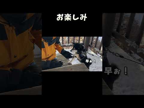 お楽しみ サムネイル