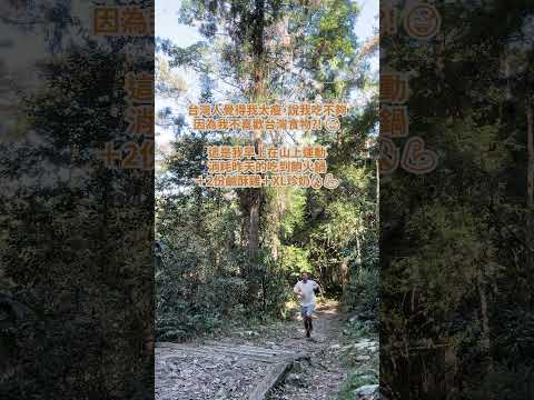 #外國人 不愛 #台灣 #美食 ? - 安德鏡頭下的世界 サムネイル