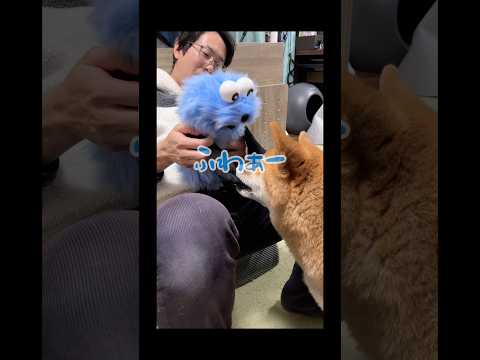 代役いけるやんwww スンスン shorts サムネイル