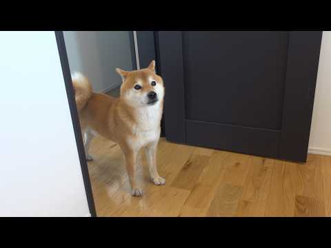 え？家に帰ると…パパがいなくなってました サムネイル