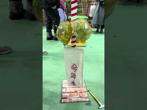 今年も〜よろしく😸　本日一発目のキャッツ始め！那須どうぶつ王国にて　2026年1月1日 サムネイル