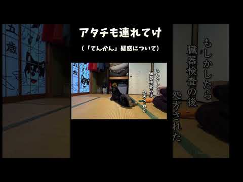 アタチも連れてけ サムネイル