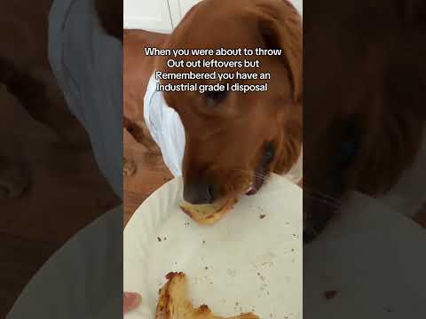 I wish these thing lasted longer 😔 サムネイル