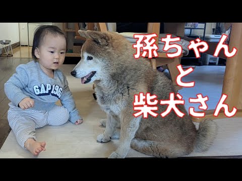 【1076】孫ちゃんが遊びに来ました サムネイル