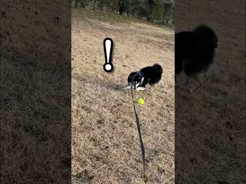 すぐそこにある… サムネイル