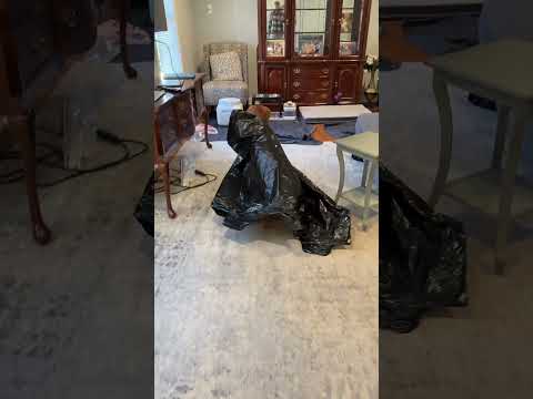 Any Harry Potter fans still exist? サムネイル