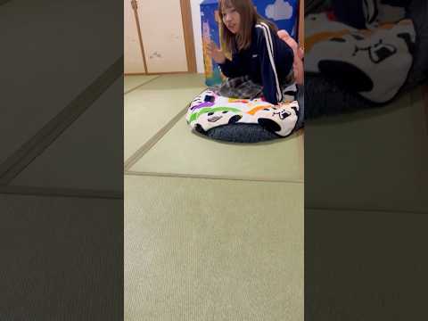 柴犬福 自分のベッドにいた姉に呆れる柴犬🤣Sister and Shiba🤣姉と柴 shorts funny funn… サムネイル